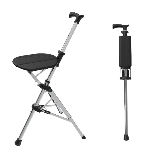 Folding chair with a cane-