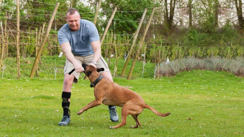 碳纖穩(wěn)定足托-