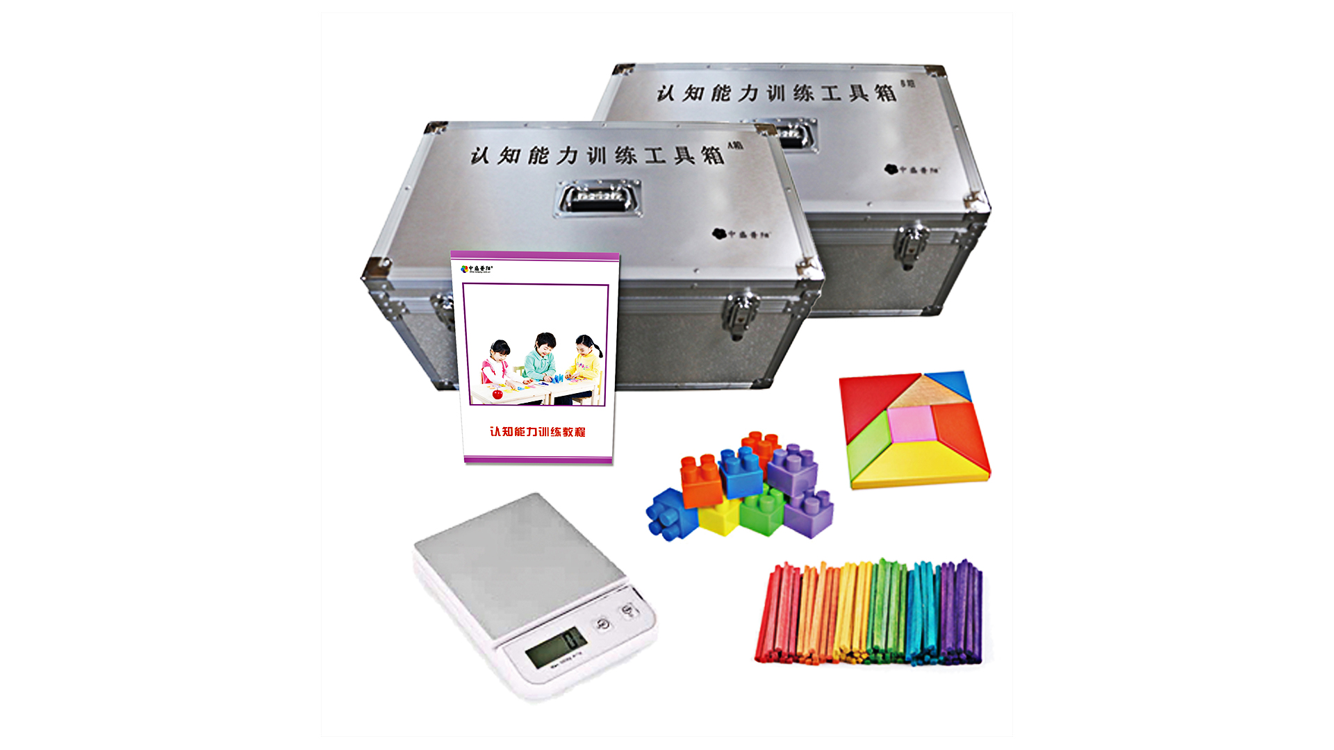 認(rèn)知能力訓(xùn)練活動(dòng)包