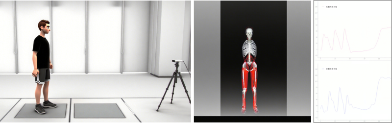 基于無(wú)標(biāo)記運(yùn)動(dòng)捕獲的人體下肢生物力學(xué)分析系統(tǒng)-